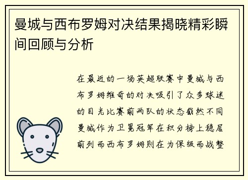 曼城与西布罗姆对决结果揭晓精彩瞬间回顾与分析