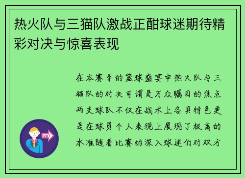 热火队与三猫队激战正酣球迷期待精彩对决与惊喜表现